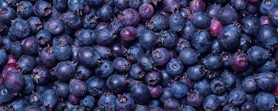 Saskatoon Berry
