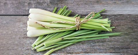 Lemongrass
